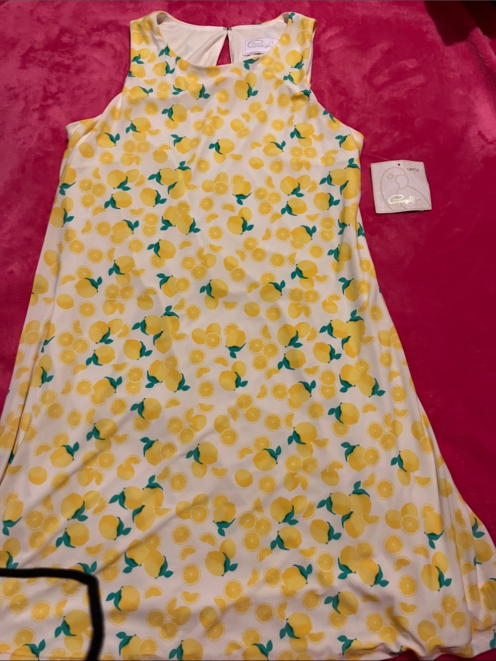 Pappagallo  Lemon Sleeveless Dress. NWT